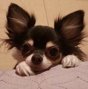 Meet your Posher, Bernarda